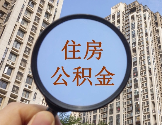 济南退休后查不到公积金明细了吗（退休后公积金查询不到原因）